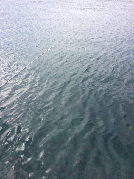 レッドモンスターの子