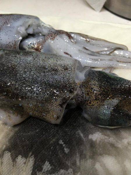 奈良より釣ーリング（バイク釣行）