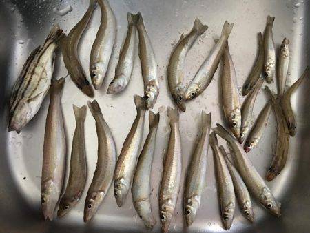 夏の終わりにちょい投げ