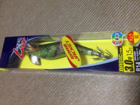 イカ三兄弟だよん