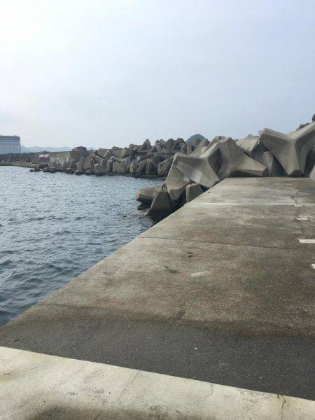 イカ好調、良い大きさに！