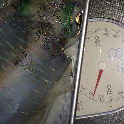 久々に仕事帰り