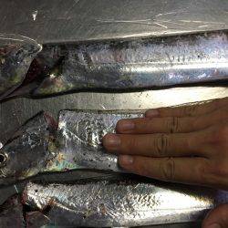 爆風ワインド！