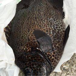 ファミリー釣行