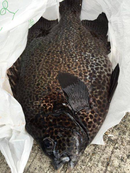 ファミリー釣行