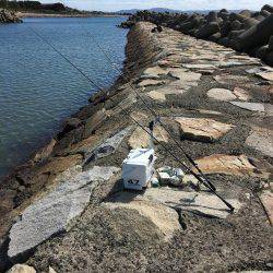 秋晴れ癒しハゼ(^o^)