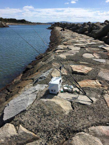 秋晴れ癒しハゼ(^o^)