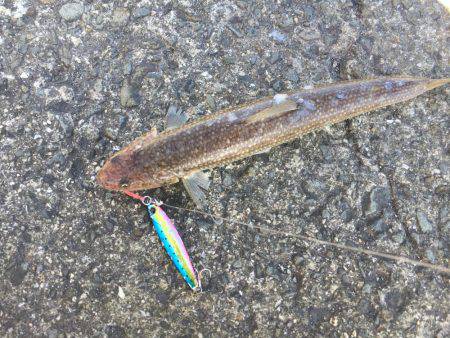 フォール中にガツン！