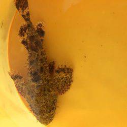 追い風に乗せて〜