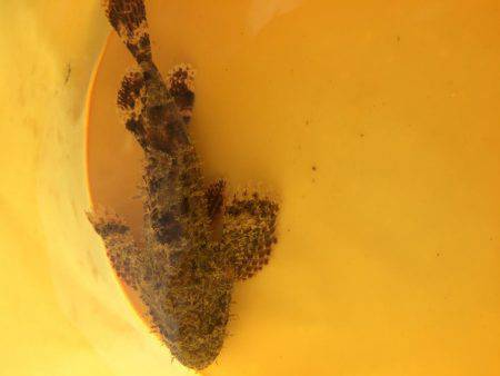 追い風に乗せて〜