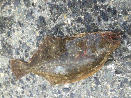 南港でまさかの