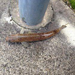 ボウズだけは勘弁してもらえた