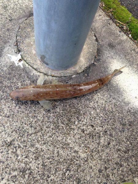 ボウズだけは勘弁してもらえた