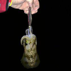 満足サイズが出ない！？