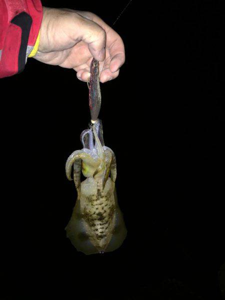 満足サイズが出ない！？