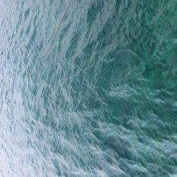 やっと墨付けできました。