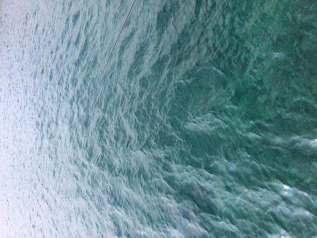 やっと墨付けできました。