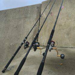 まずめ時活性良