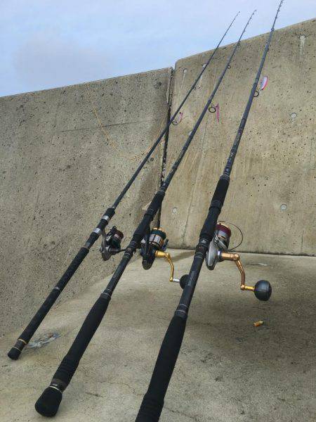 まずめ時活性良