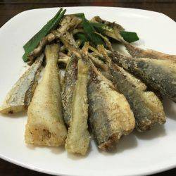 太刀魚とアジとイカとキス