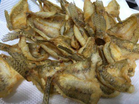 のんびりハゼ釣りwith親父