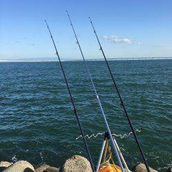 カレイ狙いその1