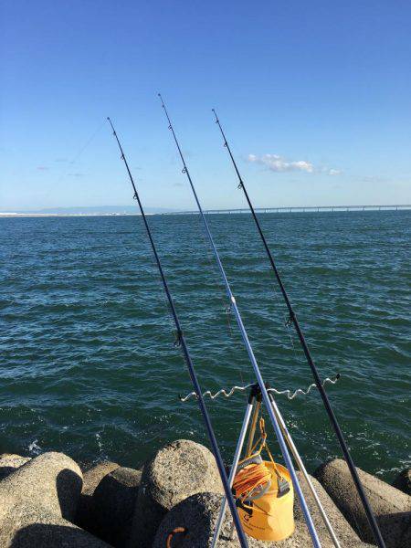 カレイ狙いその1