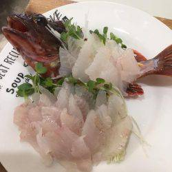 北公園 タチウオ オオアジ