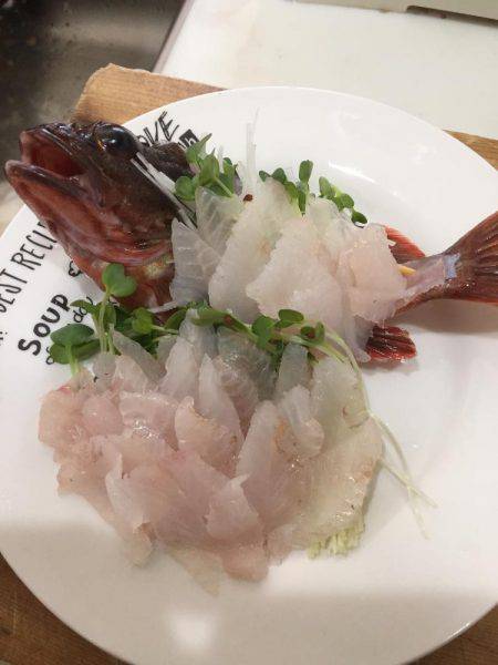 北公園 タチウオ オオアジ