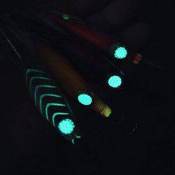 アオリ連発！淡路島エギング！