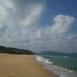 アオリイカとシロギス