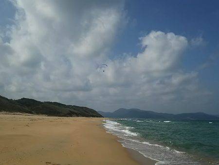 アオリイカとシロギス