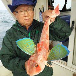 遊漁船 ニライカナイ 釣果