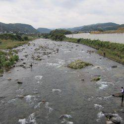 狩野川(狩野川漁業協同組合) 釣果
