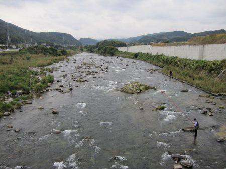 狩野川(狩野川漁業協同組合) 釣果
