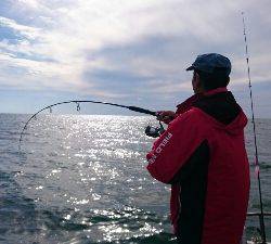 IDATEN（イダテン） 釣果