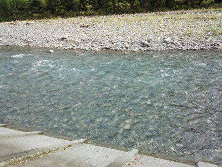 安倍川・藁科川（安倍藁科川漁業協同組合） 釣果