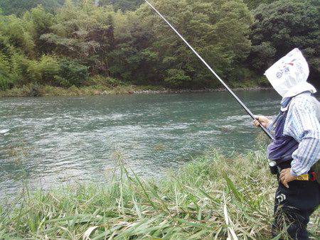 安倍川・藁科川（安倍藁科川漁業協同組合） …