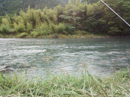 安倍川・藁科川（安倍藁科川漁業協同組合） 釣果