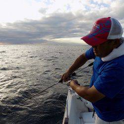 フィッシングボート空風(そらかぜ) 釣果