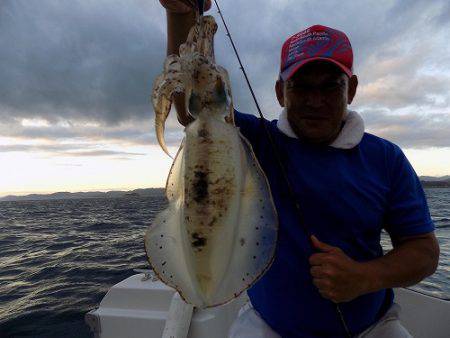 フィッシングボート空風(そらかぜ) 釣果