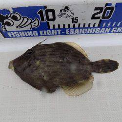 フィッシングボート空風（そらかぜ） 釣果