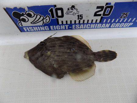 フィッシングボート空風（そらかぜ） 釣果