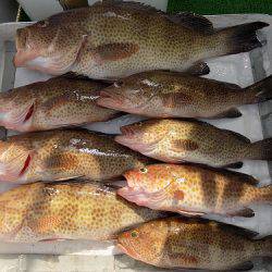 フィッシングボート空風(そらかぜ) 釣果