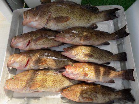 フィッシングボート空風(そらかぜ) 釣果