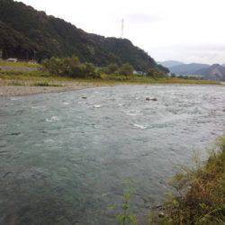 安倍川・藁科川(安倍藁科川漁業協同組合) 釣果