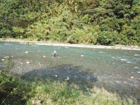 安倍川・藁科川(安倍藁科川漁業協同組合) 釣果