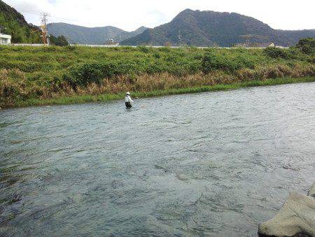 安倍川・藁科川(安倍藁科川漁業協同組合) 釣果