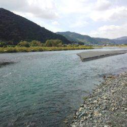 安倍川・藁科川(安倍藁科川漁業協同組合) 釣果