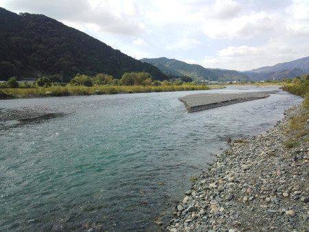 安倍川・藁科川(安倍藁科川漁業協同組合) 釣果